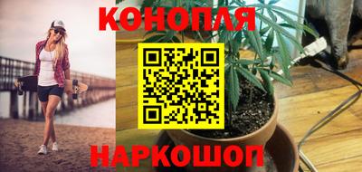 mdpv Бийск