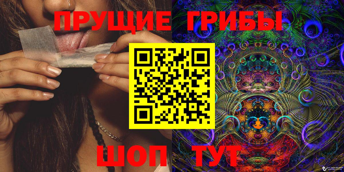 Псилоцибиновые грибы мицелий  Вход с VPN  Кимры 